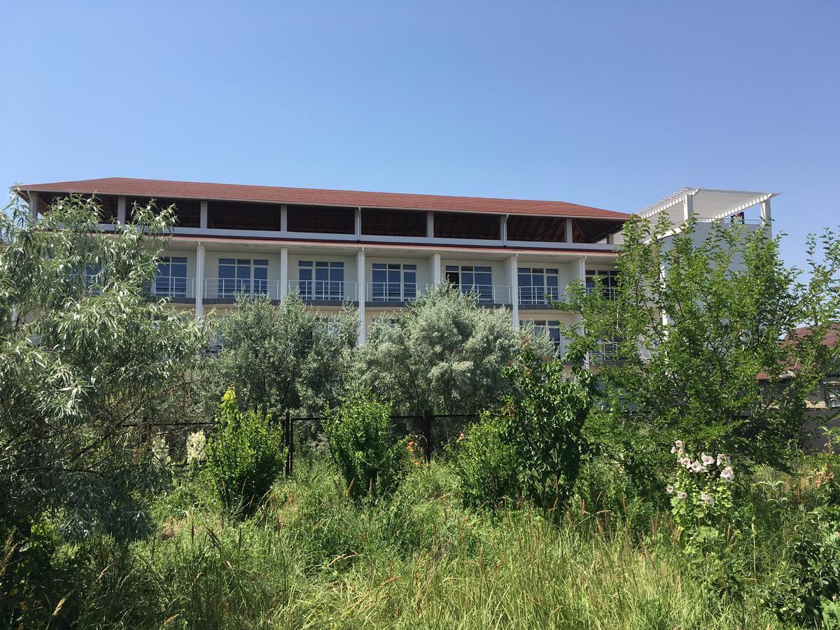 Bed and Breakfast Kauri Затока Экстерьер фото